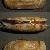 Solecurtus scopula