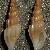 Mangelia costulata