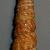 Turritella turbona
