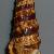 Cerithium alucaster