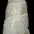 Parthenina alesii