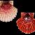 Pecten jacobeus