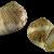 Tectonatica filosa