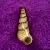 Cirsotrema cochlea