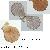 Manupecten pesfelis