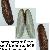 Lithophaga lithophaga