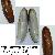 Lithophaga lithophaga