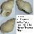 Buccinum humphreysianum