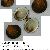 Glycymeris glycymeris
