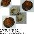 Glycymeris glycymeris