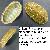 Chiton (Rhyssoplax) olivaceus 