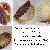 Pecten jacobeus