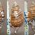 Cymathium parthenopeum parthenopeum