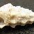 Cerithium haustellum