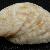 Crepidula moulinsi