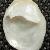 Crepidula unguiformis