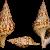 Charonia lampas lampas