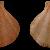 Pseudamussium peslutrae