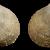 Epilepton parrussetensis