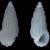 Rissoina bertholleti