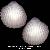 Acanthocardia tuberculata
