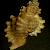 Cabestana cutacea 